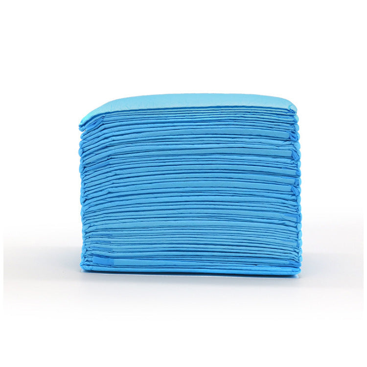 Dog and Puppy Mat, Leak Proof 5 Layer Mat with Quick Dry Surface for Potty Training