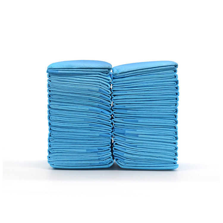 Dog and Puppy Mat, Leak Proof 5 Layer Mat with Quick Dry Surface for Potty Training