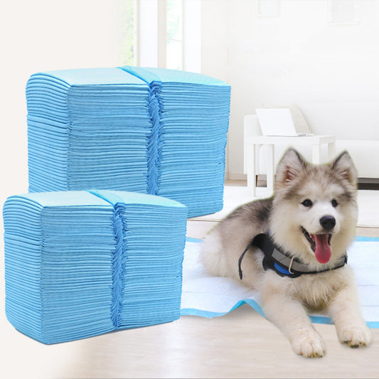Dog and Puppy Mat, Leak Proof 5 Layer Mat with Quick Dry Surface for Potty Training